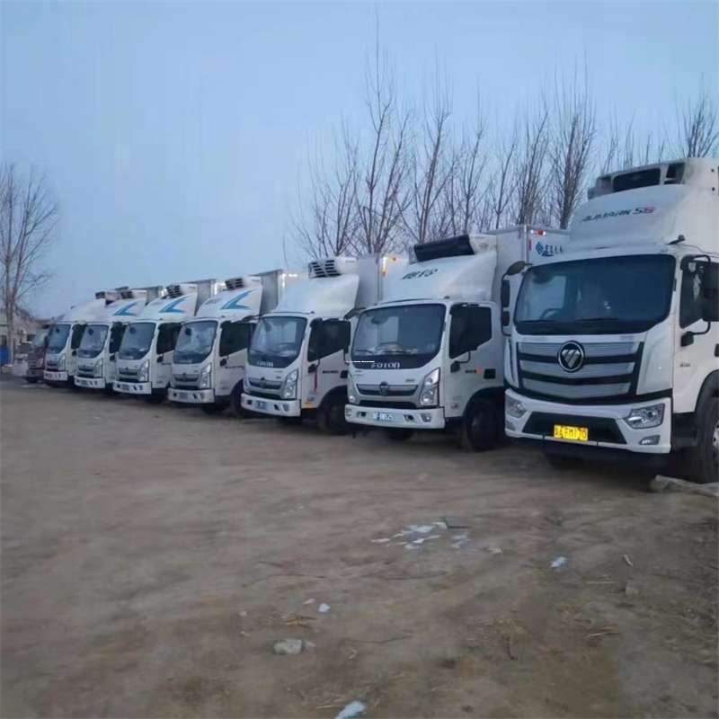 黑龙江双鸭山集贤县到思茅物流公司-一站式服务（思茅物流公司电话）